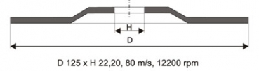 APP Fächerscheiben 125x22/P80 10 Stück