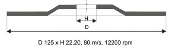 APP Fächerscheiben 125x22/P60 10 Stück